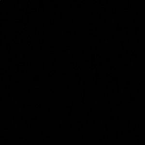 Meet your Posher, Syra